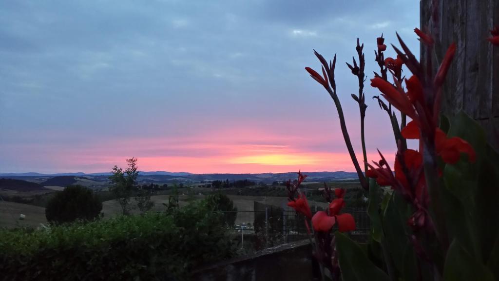 Agriturismo Marruchetone Vecchio Manciano Ngoại thất bức ảnh